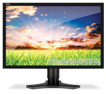 NEC MultiSync P221W